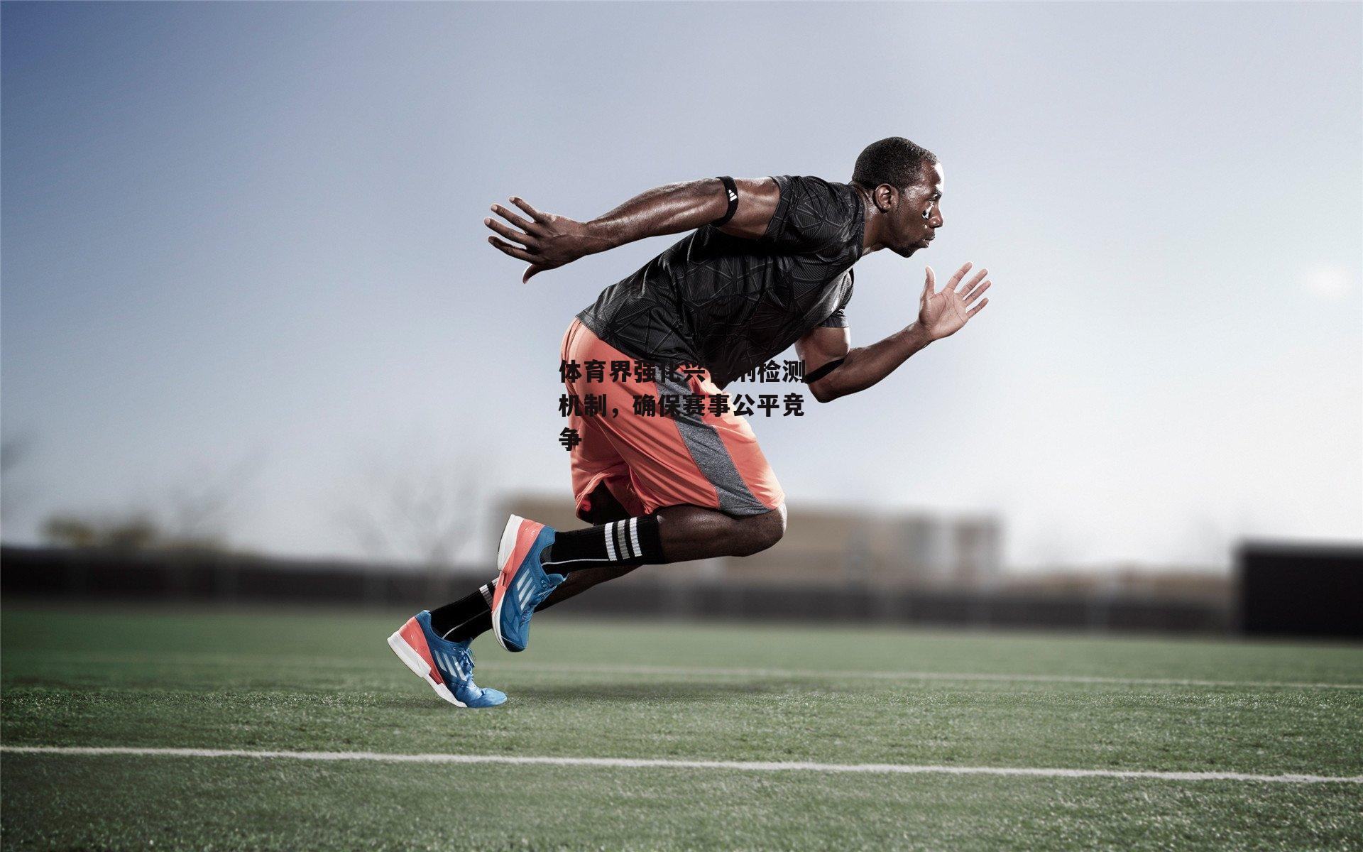 体育界强化兴奋剂检测机制,确保赛事公平竞争